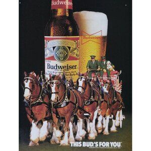 1985 Budweiser King of Beers Vintage Beer Ad Clydesdales